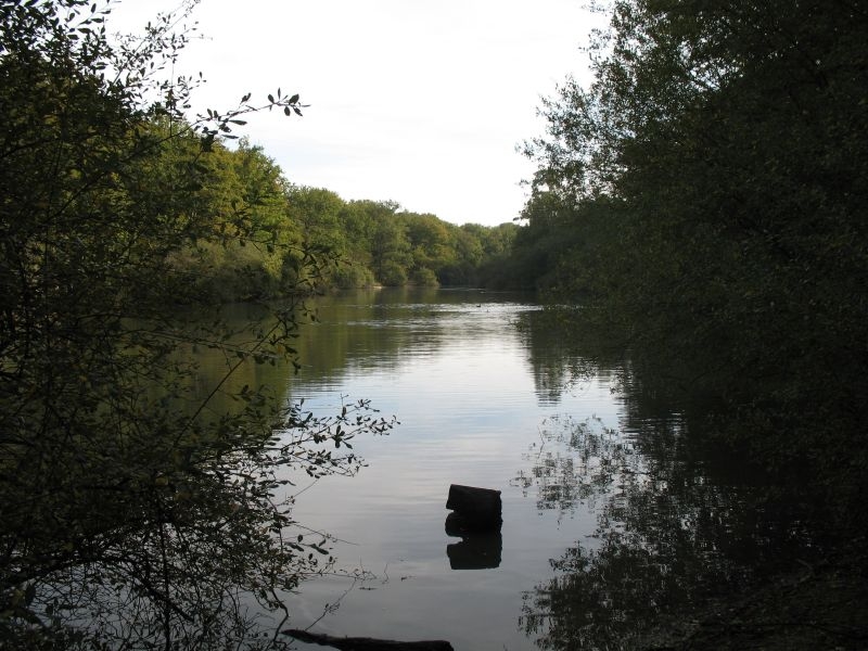 2006 10 Myco Etang d'Or 10